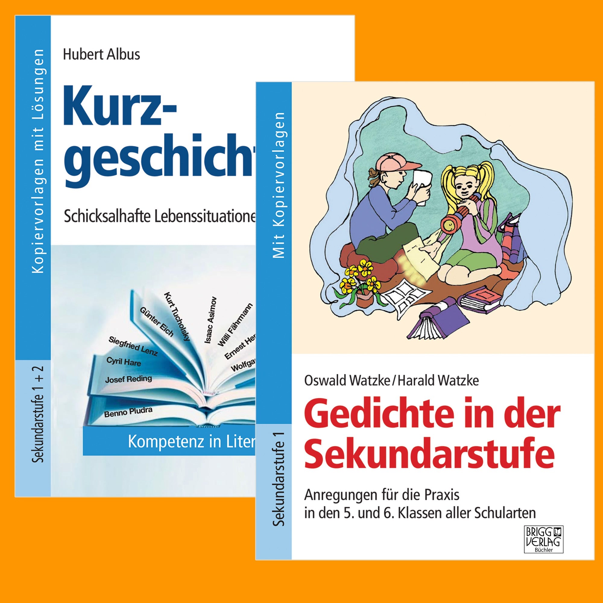 Sekundarstufe Deutsch Literatur