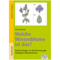 Welche Wiesenblume ist das?