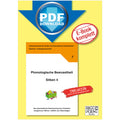 Phonologische Bewusstheit - Silben 4